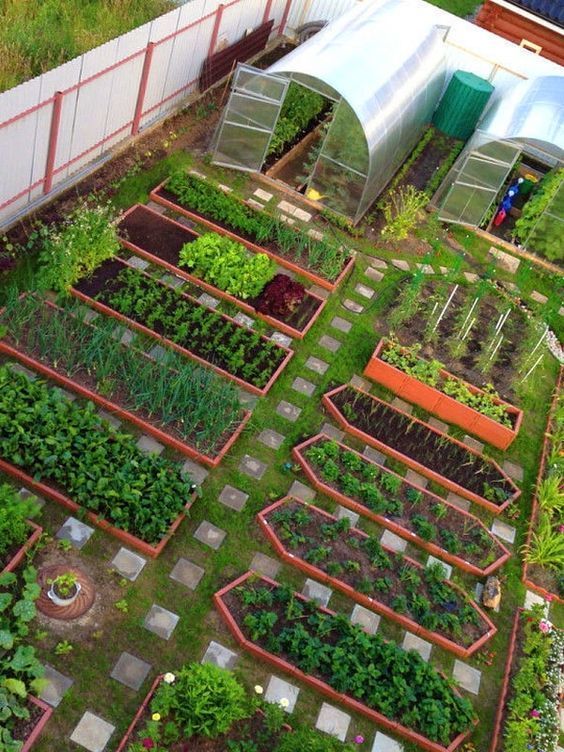 Vista aérea de uma horta caseira com vários canteiros organizados e estufas para cultivo protegido