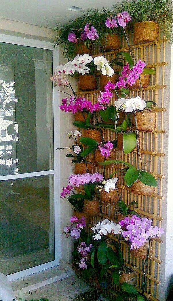 Orquídea Phalaenopsis rosa em vaso de vidro