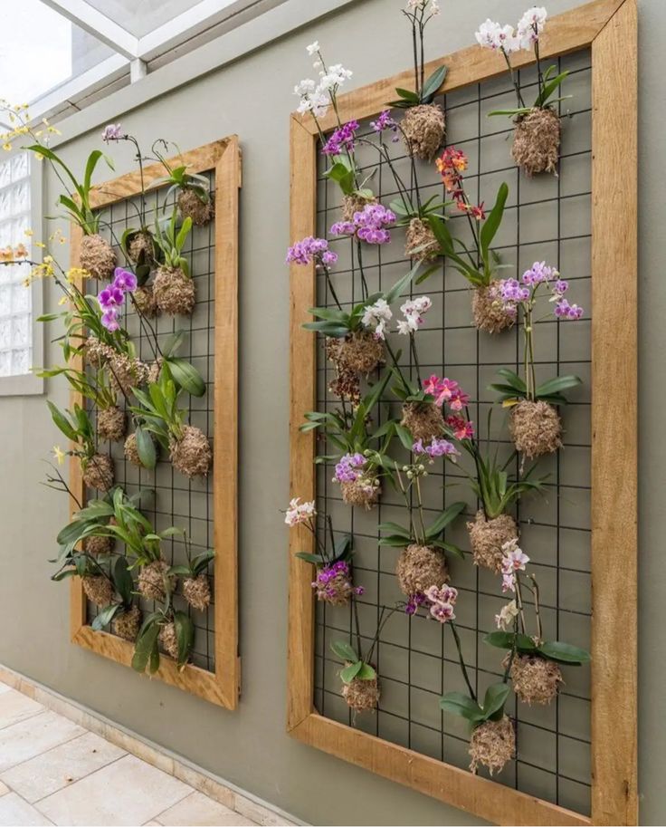 Orquídea Phalaenopsis rosa em vaso de vidro