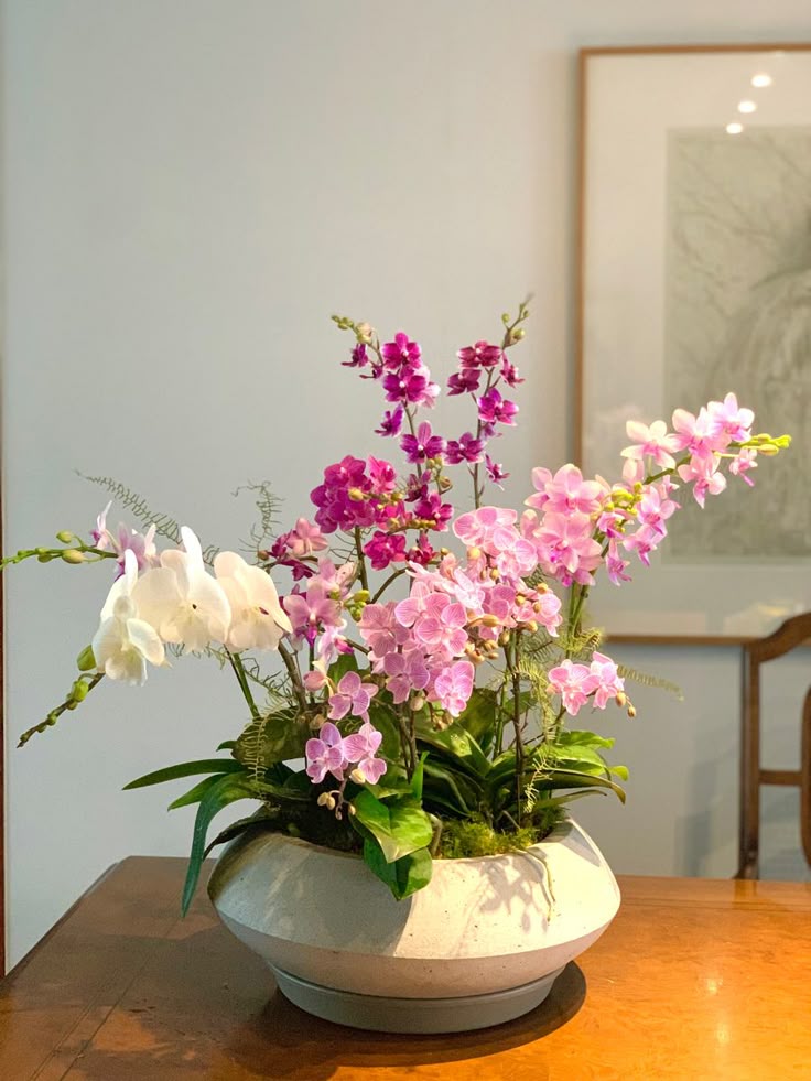 Orquídea Phalaenopsis rosa em vaso de vidro