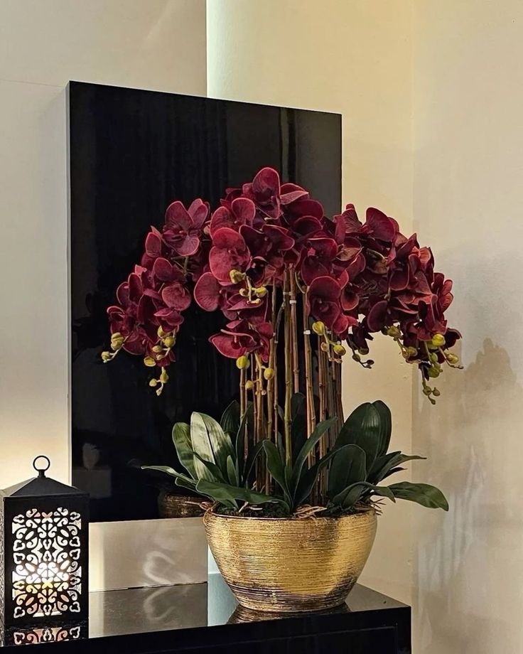 Orquídea Phalaenopsis rosa em vaso de vidro